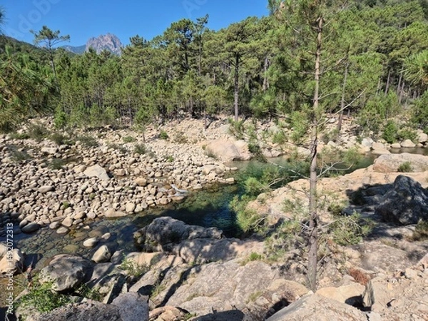 Obraz swimming and bathing pools "soli solenzara" in corsica