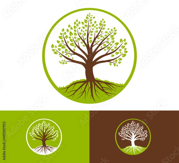 Obraz stylized tree circular frame, green leaves and visible roots