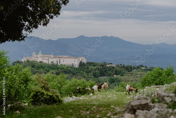 Obraz Widok na klasztor Monte Cassino
