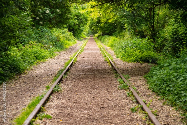 Obraz Straight section of track of the former circular railroad “La petite ceinture” in the south of the French capital Paris. The abandoned line is a hidden lost place attraction that is being overgrown.