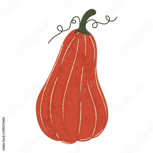 Obraz Curved red pumpkin isolated on white background. Illustration with texture. Clip art for design. Vector illustration.