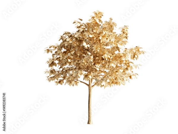 Obraz Golden autumn tree with dry leaves isolated transparency background, showing natural fall colors