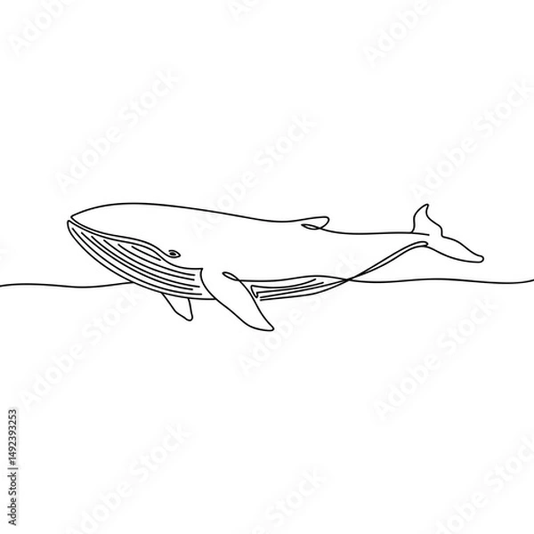 Fototapeta Outline of the profile of a whale in one line
