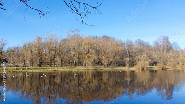 Obraz A natural lake in the park. Spring Park, ecologically clean neighborhood, water body.