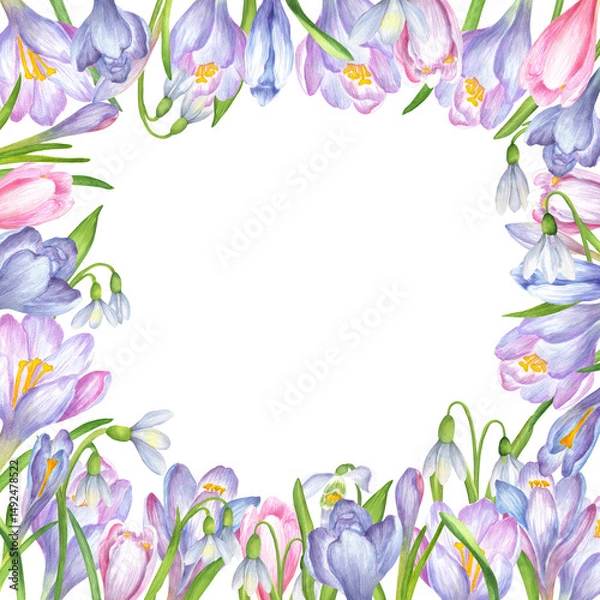 Fototapeta Floral frame of soft purple, blue and pink crocus flowers, snowdrops flowers and green leaves. Springtime square frame of flowers. Spring flowers clipart. Hand-drawn watercolor illustration