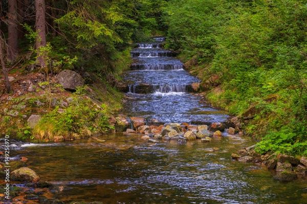 Fototapeta Water flows down the cascade of stones among the lush forest vegetation.