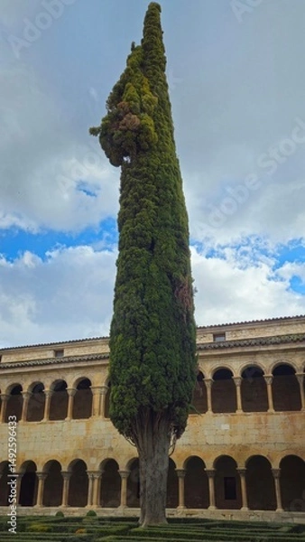 Obraz Santo Domingo de Silos