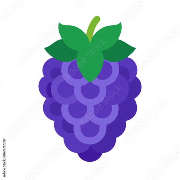 Fototapeta Stylized illustration of fresh blackberry on a black background