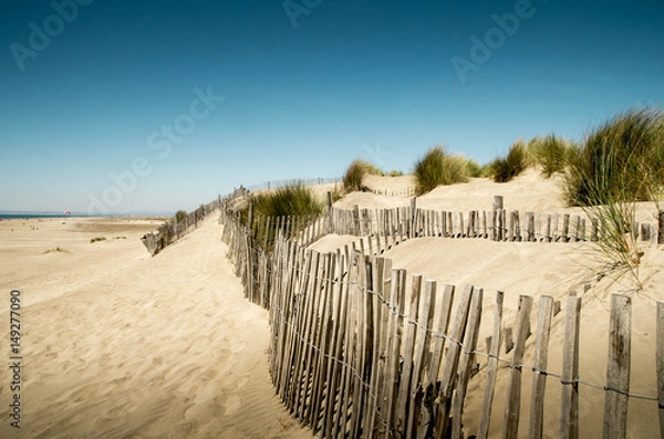 Obraz Plage de l'Espiguette
