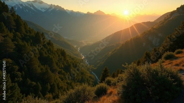 Fototapeta Aerial view of Bertiz Forest, Spain, during sunrise, with sunlight filtering through trees, creating a serene scene.