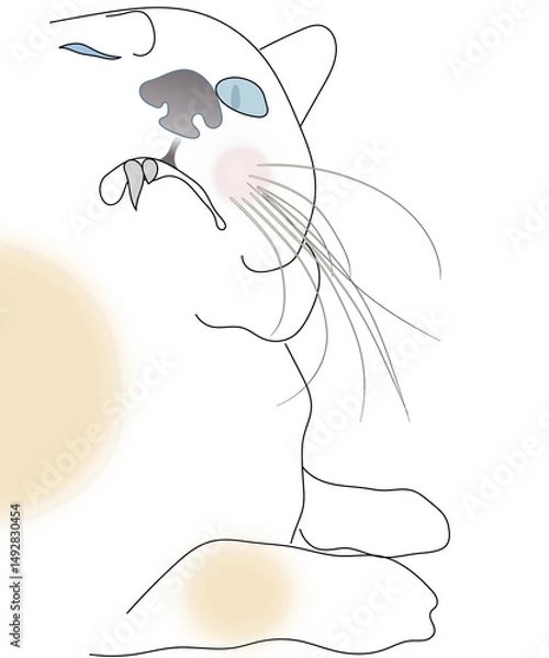 Obraz cat drawing line