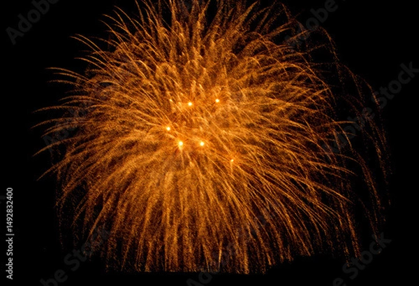 Fototapeta A vibrant display of golden fireworks exploding in a spider-like pattern against the dark expanse of the night sky. Two bright central bursts illuminate the radiating trails of light.