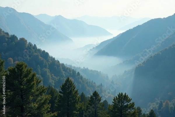 Fototapeta Thick fog shrouds valley, ancient trees barely visible, landscape, mist, mysterious