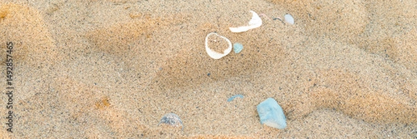 Fototapeta Close-up view of various seashells and colorful stones scattered on golden sandy beach, showcasing natural textures and vibrant colors in a serene coastal environment. Banner with copy space