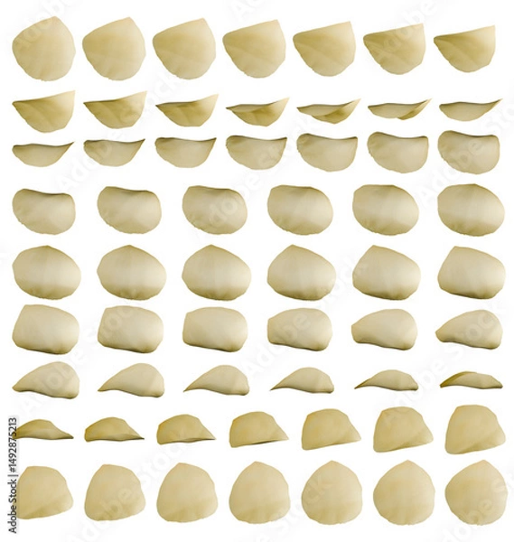 Fototapeta Yellow Rose Petal 3d Rotation Sequence with Transparency