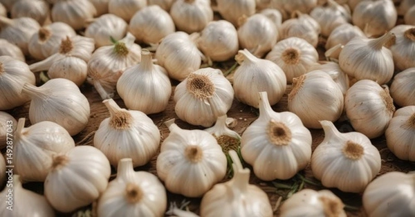 Fototapeta Neatly arranged garlic bulbs, showcasing detail,  arrangement,  isolated