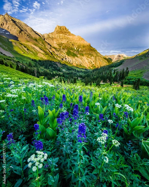 Obraz Yankee Boy Basin Vertical