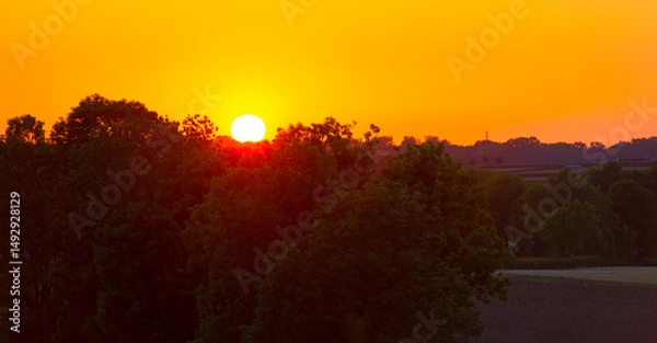 Obraz Green foliage of trees, reed and a rolling landscape at a bright sunset in springtime, Voeren, Limburg, Flanders, Belgium, May 17, 2025