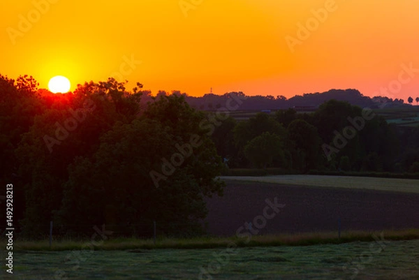 Obraz Green foliage of trees, reed and a rolling landscape at a bright sunset in springtime, Voeren, Limburg, Flanders, Belgium, May 17, 2025