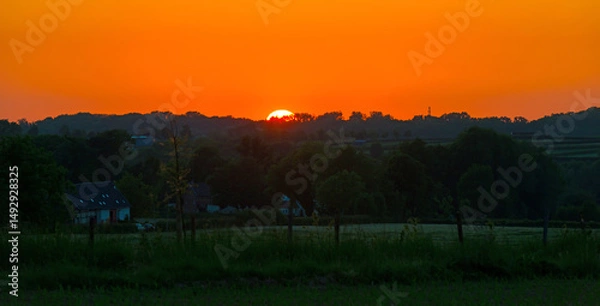 Obraz Green foliage of trees, reed and a rolling landscape at a bright sunset in springtime, Voeren, Limburg, Flanders, Belgium, May 17, 2025