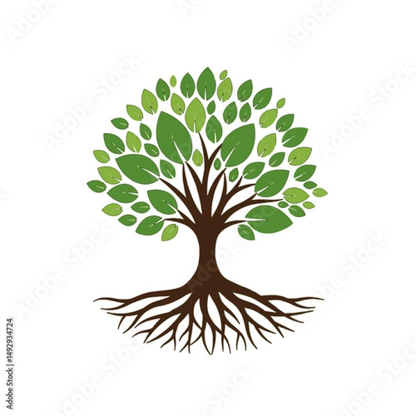 Obraz Illustration of a Tree with Roots and Leaves