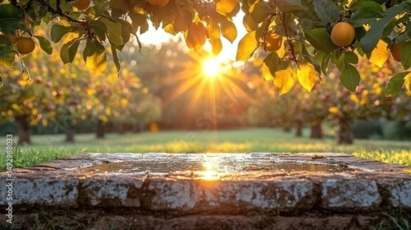Obraz Golden Orchard at Sunrise with Fruit Trees and Stone Surface