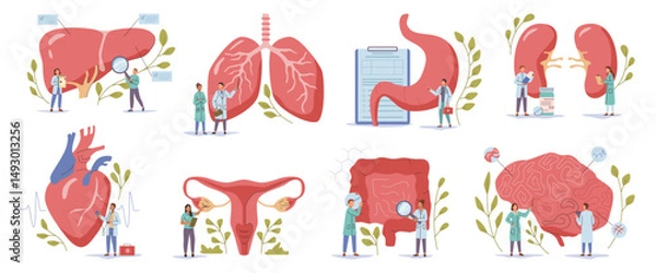 Obraz Organ examination. Vector clinical assessment of body parts function. Health care and treatment, diagnostic tests. Neurological and cardiovascular, respiratory and abdominal, hepatic and kidney system