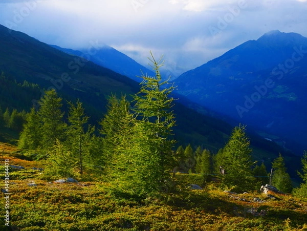 Fototapeta View on mountains in the Osttirol region on a summer day
