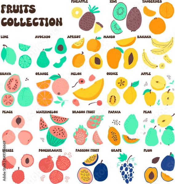 Fototapeta Colorful Hand Drawn Fruit Collection – Cute Cartoon Vector Set of Tropical and Summer Fruits Vector illustration of a colorful collection of hand drawn fruits with names. Includes tropical and seasona