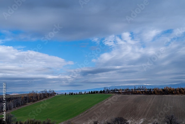 Obraz 北海道　美瑛高原