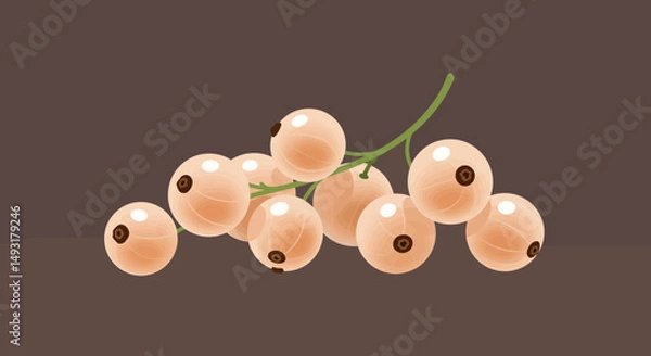 Obraz Cluster Of Pale Orange Currants On Dark Background