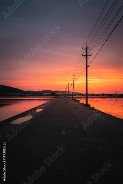 Fototapeta Sunset view of a rural road with power lines and reflections in rice fields