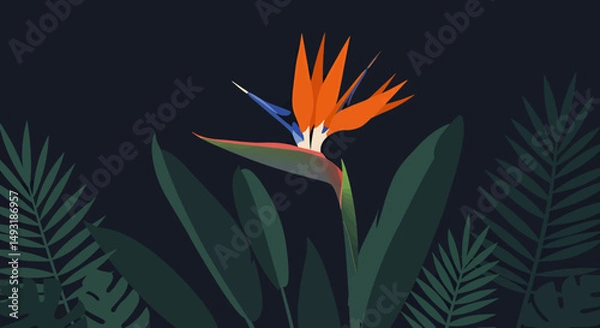 Obraz Tropical Bird Of Paradise Flower Illustration With Dark Background