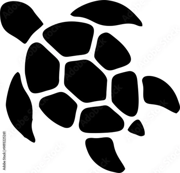 Fototapeta vector illustration of a turtle 