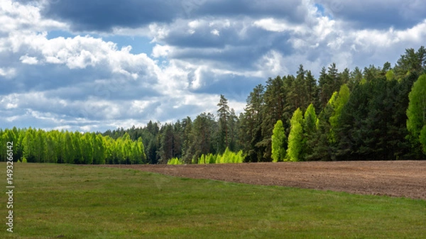 Obraz Dolina rzeki Ploski - Puszcza Knyszyńska, Podlasie, Polska