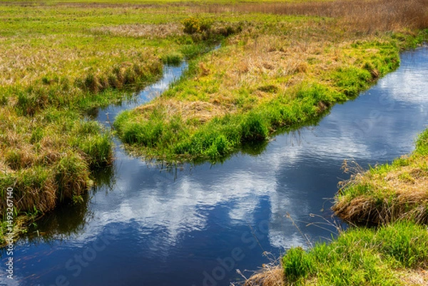 Obraz Dolina rzeki Ploski - Puszcza Knyszyńska, Podlasie, Polska