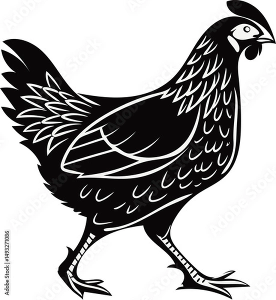 Fototapeta Chicken vector illustration silhouette image