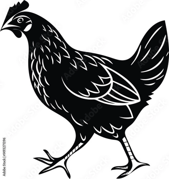 Fototapeta Chicken vector illustration silhouette image