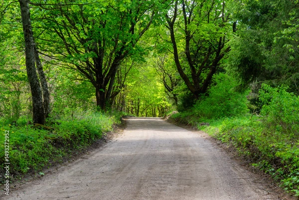 Obraz Dolina rzeki Ploski - Puszcza Knyszyńska, Podlasie, Polska
