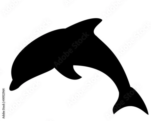 Fototapeta delfino