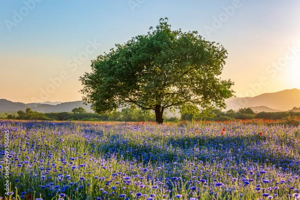 Obraz Generated image