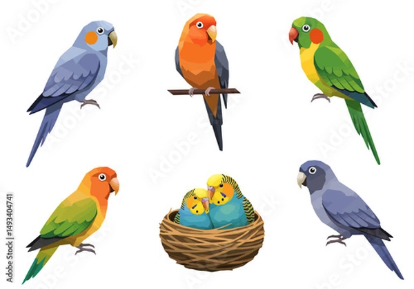 Fototapeta Colorful Collection of Stylized Parrots and Budgies in Various Poses