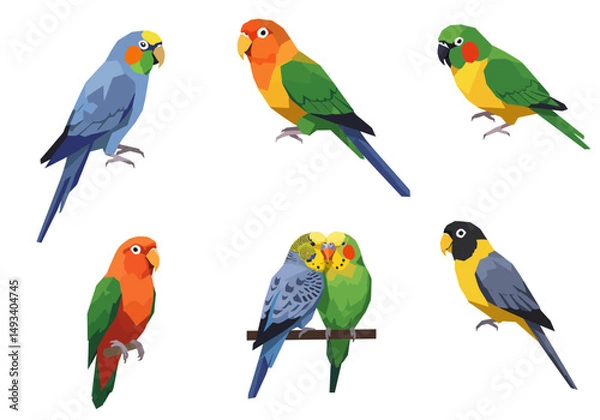 Fototapeta Colorful Geometric Parrots in Various Poses Displaying Unique Plumage