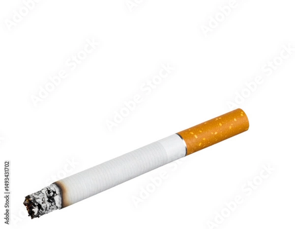 Obraz  Smoldering Cigarette with Curling Smoke Trail, isolated on a transparent background.