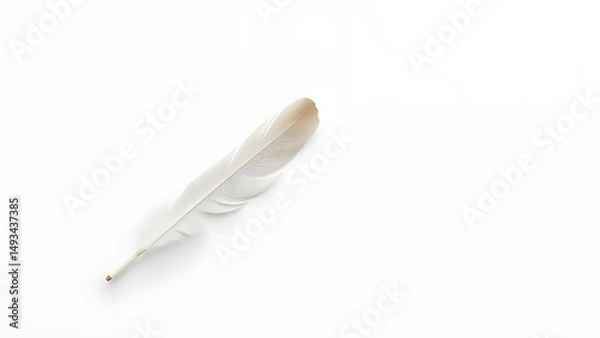 Fototapeta Soft White Bird Feather Isolated – Blank Space Design, white feather, isolated feather, single feather, white background, feather on white, soft feather, bird feather