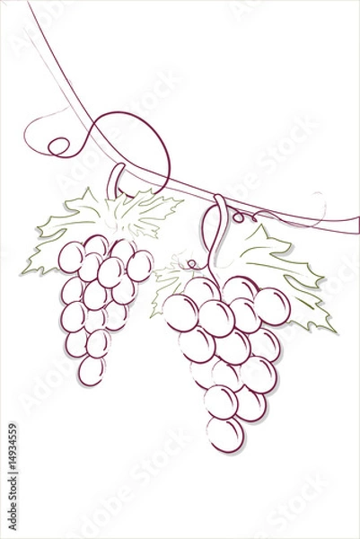 Obraz Grappoli d'uva appesa