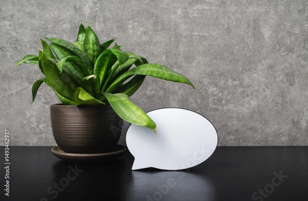 Fototapeta Potted plant and blank speech bubble object. Copy space for text.