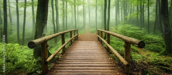 Fototapeta Rustic wooden bridge stretching into the ethereal depths of a misty forest