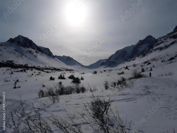 Fototapeta winter mountain landscape