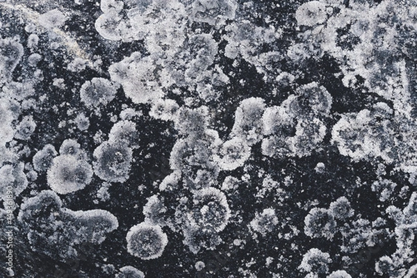 Obraz Lichen on Boulder